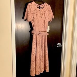 Brand New With Tags Eliza J Dress Size 8